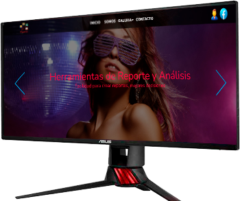 logistica web